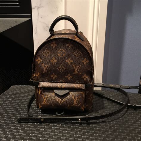 louis vuitton backpack palm springs price|Louis Vuitton palm springs mini.